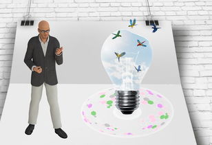 开云电竞在线-中国篮球职业联赛俱乐部财务风险管理及控制，篮球俱乐部的风险与对策