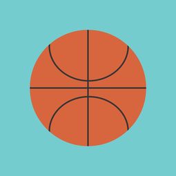 开云在线直播-篮球运动信息化管理平台设计与应用，篮球信息app